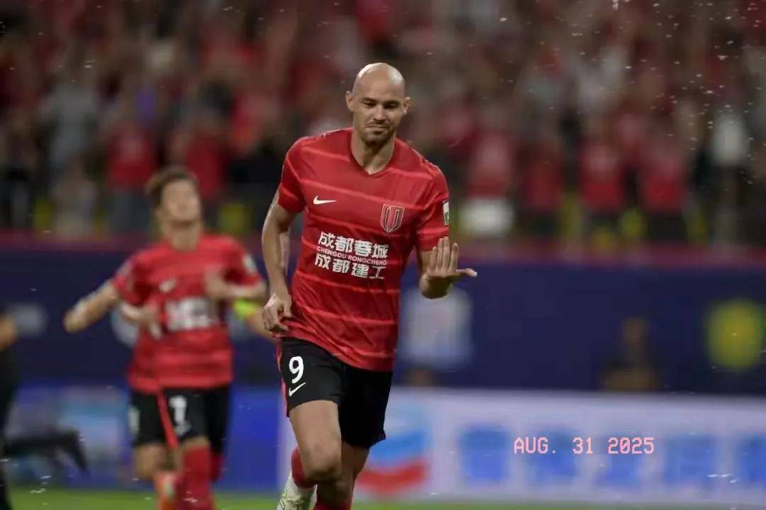 王男篮在新 王男篮在新