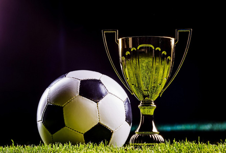 的优势与不 的优势与不